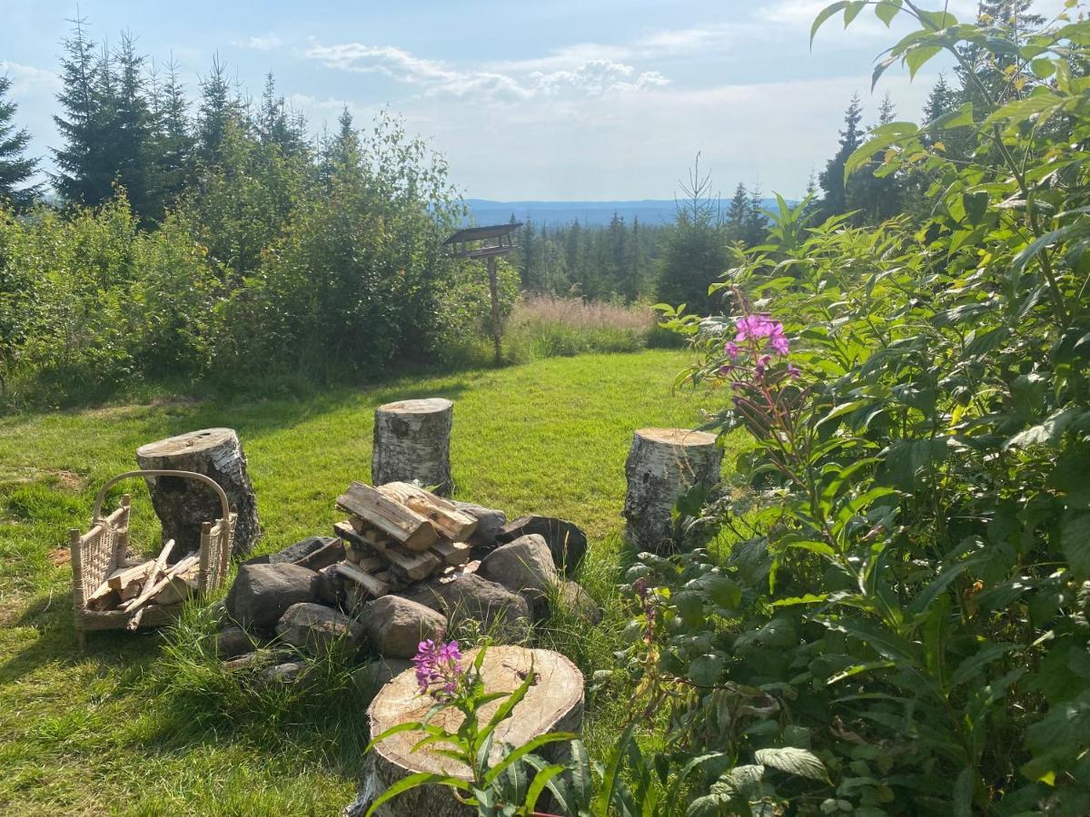 Cozy Forest Cabin With Amazing Mountain View Torsby Ngoại thất bức ảnh