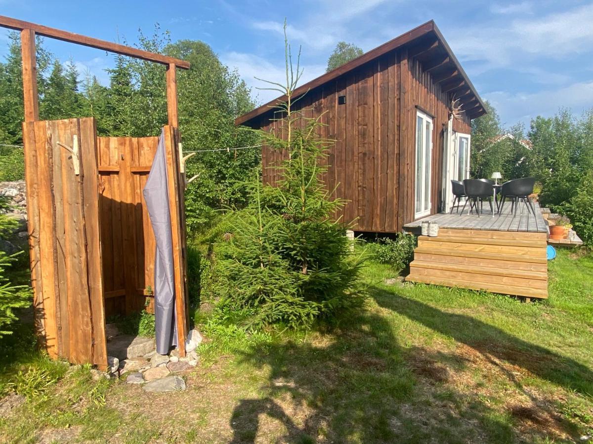 Cozy Forest Cabin With Amazing Mountain View Torsby Ngoại thất bức ảnh