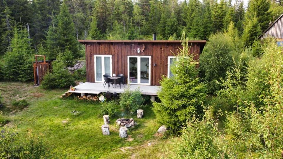 Cozy Forest Cabin With Amazing Mountain View Torsby Ngoại thất bức ảnh