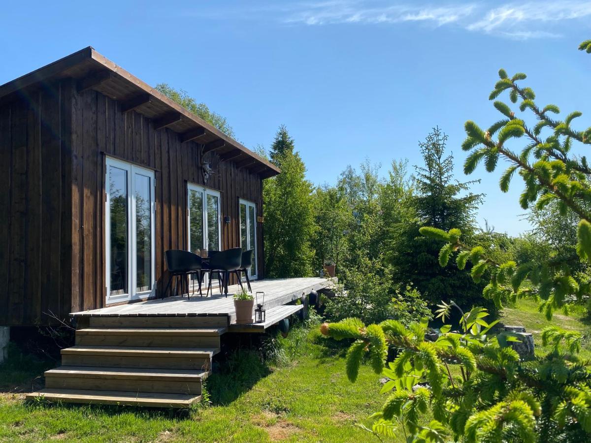 Cozy Forest Cabin With Amazing Mountain View Torsby Ngoại thất bức ảnh