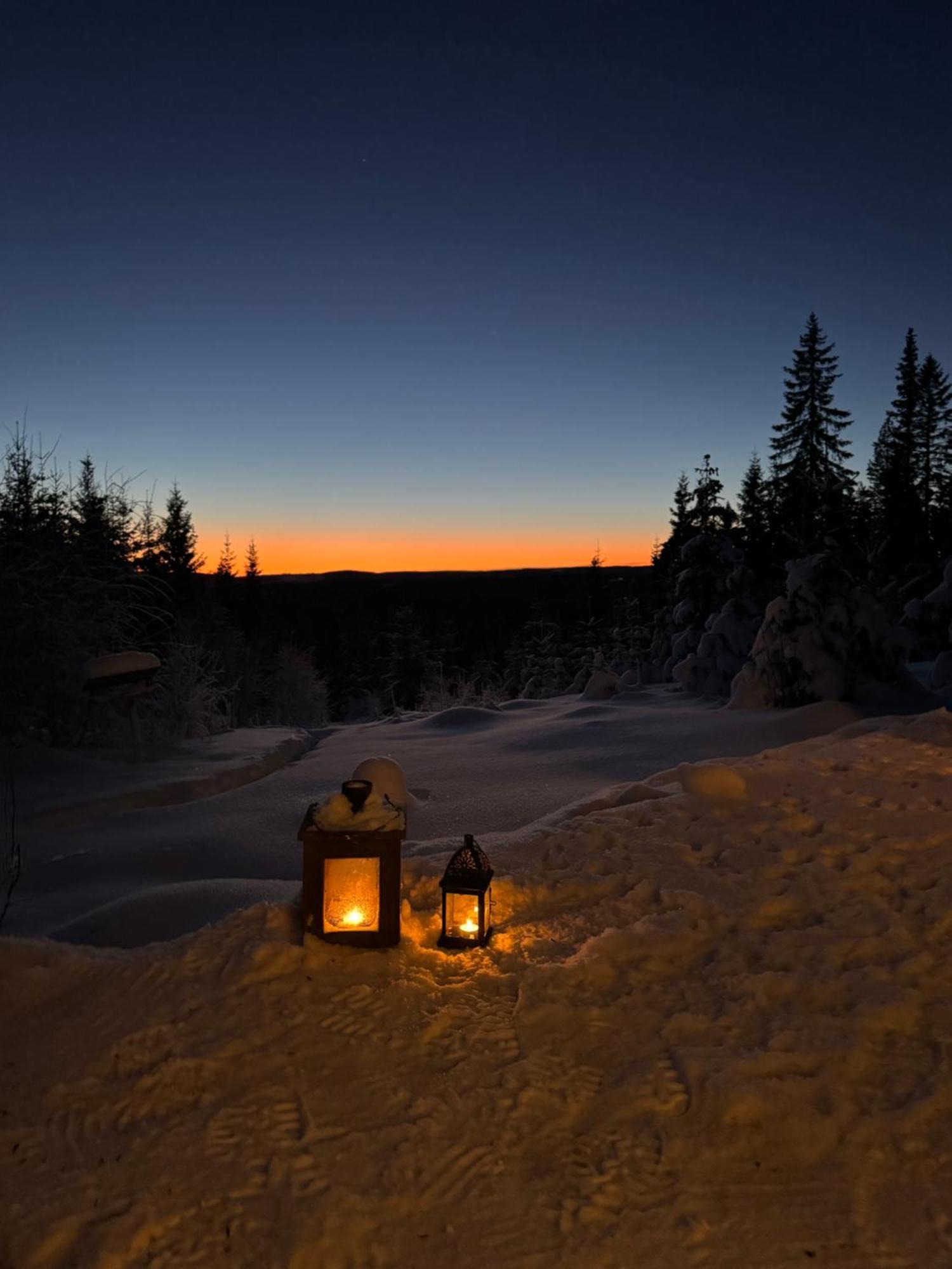 Cozy Forest Cabin With Amazing Mountain View Torsby Ngoại thất bức ảnh