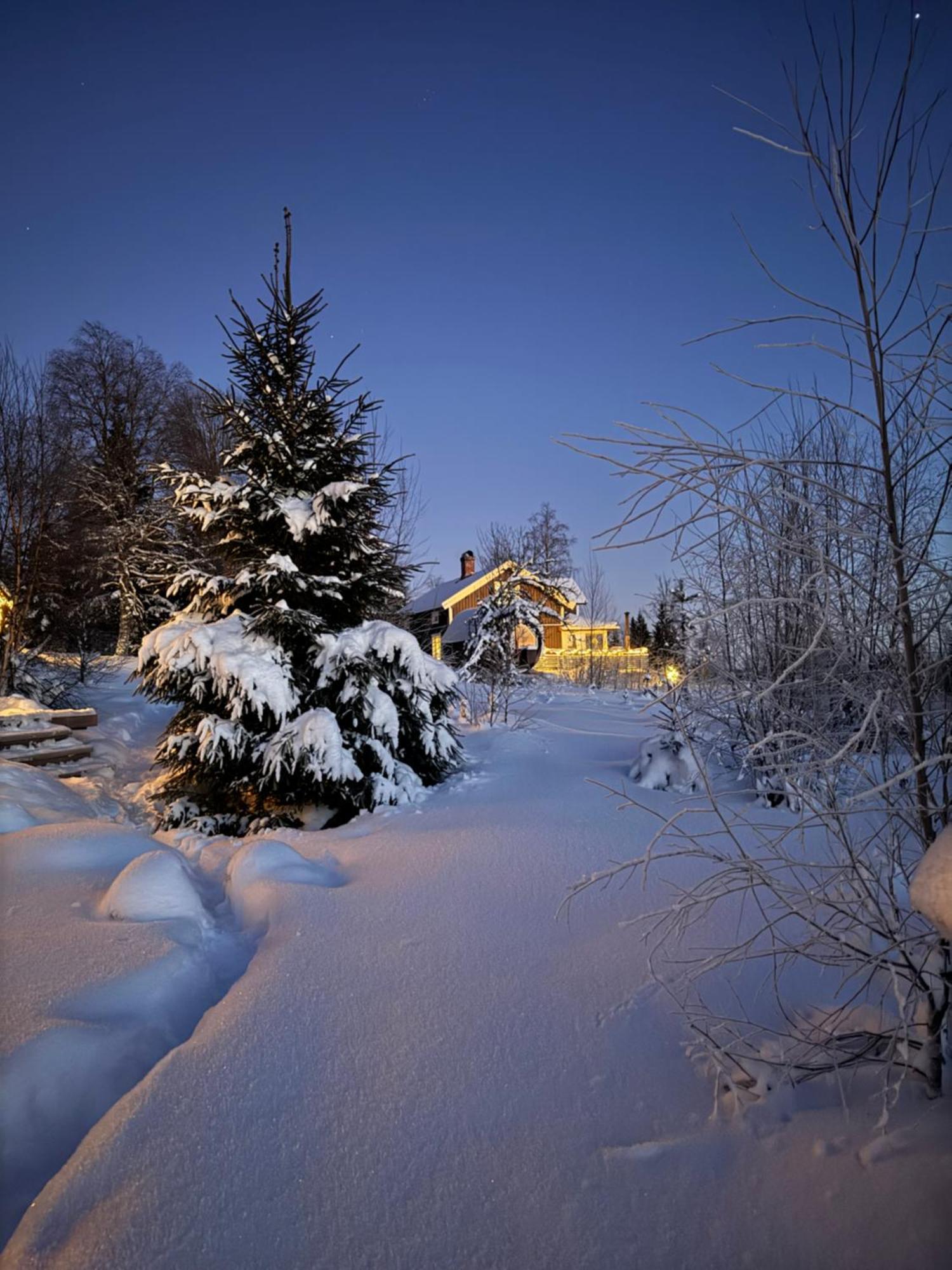 Cozy Forest Cabin With Amazing Mountain View Torsby Ngoại thất bức ảnh