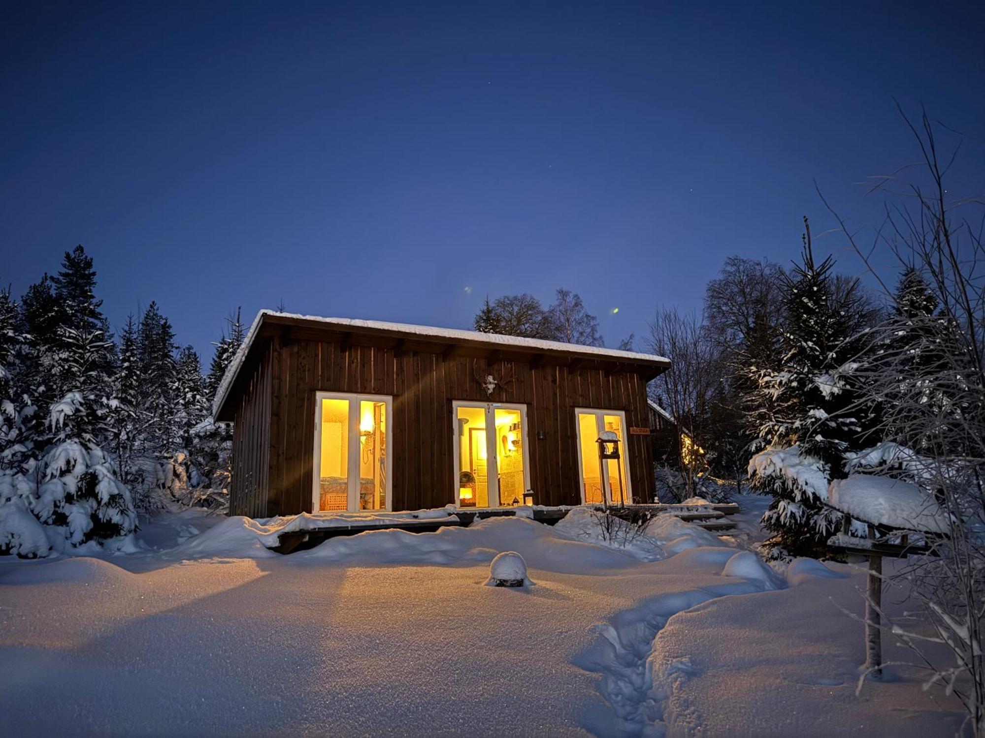 Cozy Forest Cabin With Amazing Mountain View Torsby Ngoại thất bức ảnh
