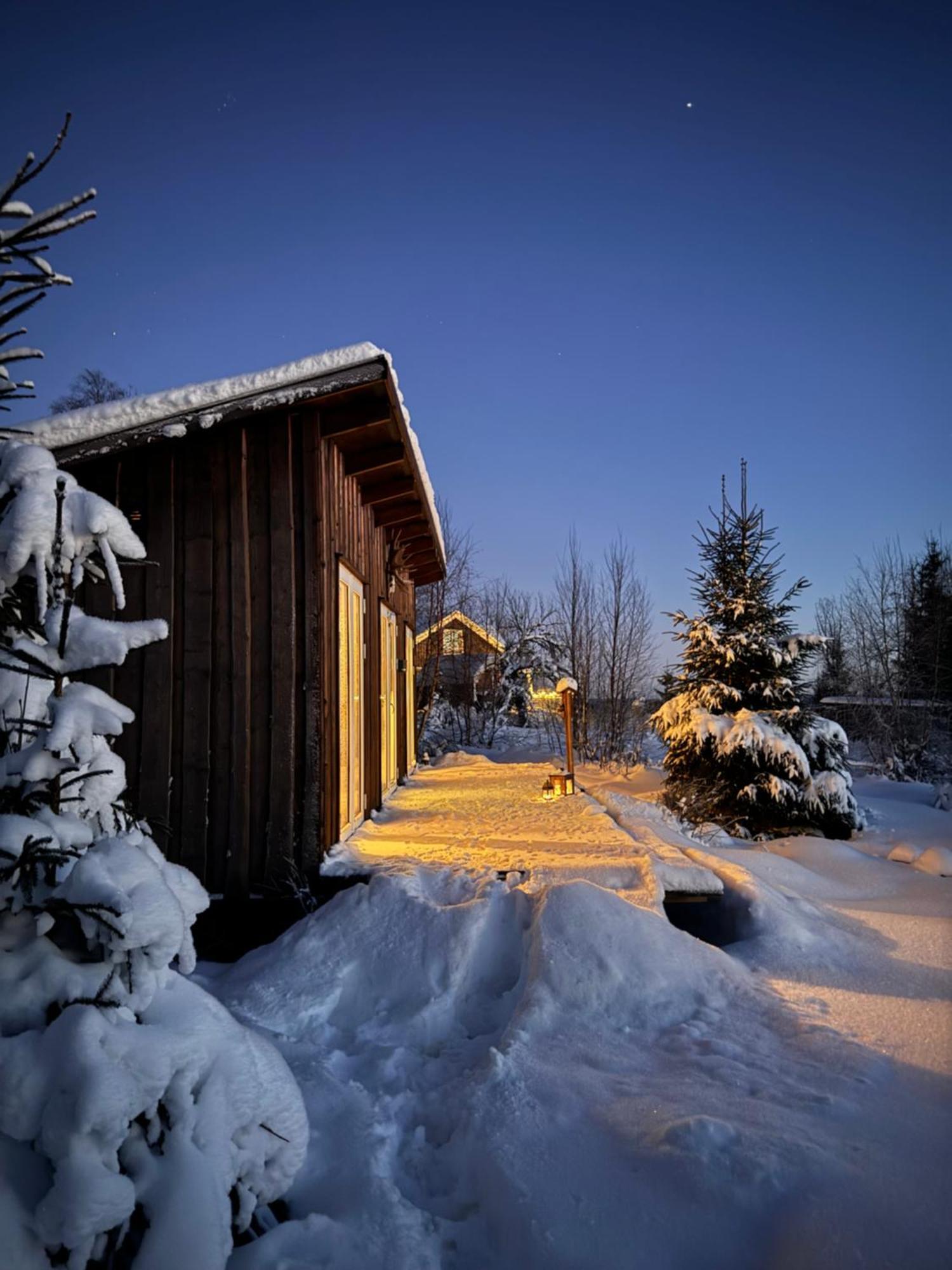 Cozy Forest Cabin With Amazing Mountain View Torsby Ngoại thất bức ảnh