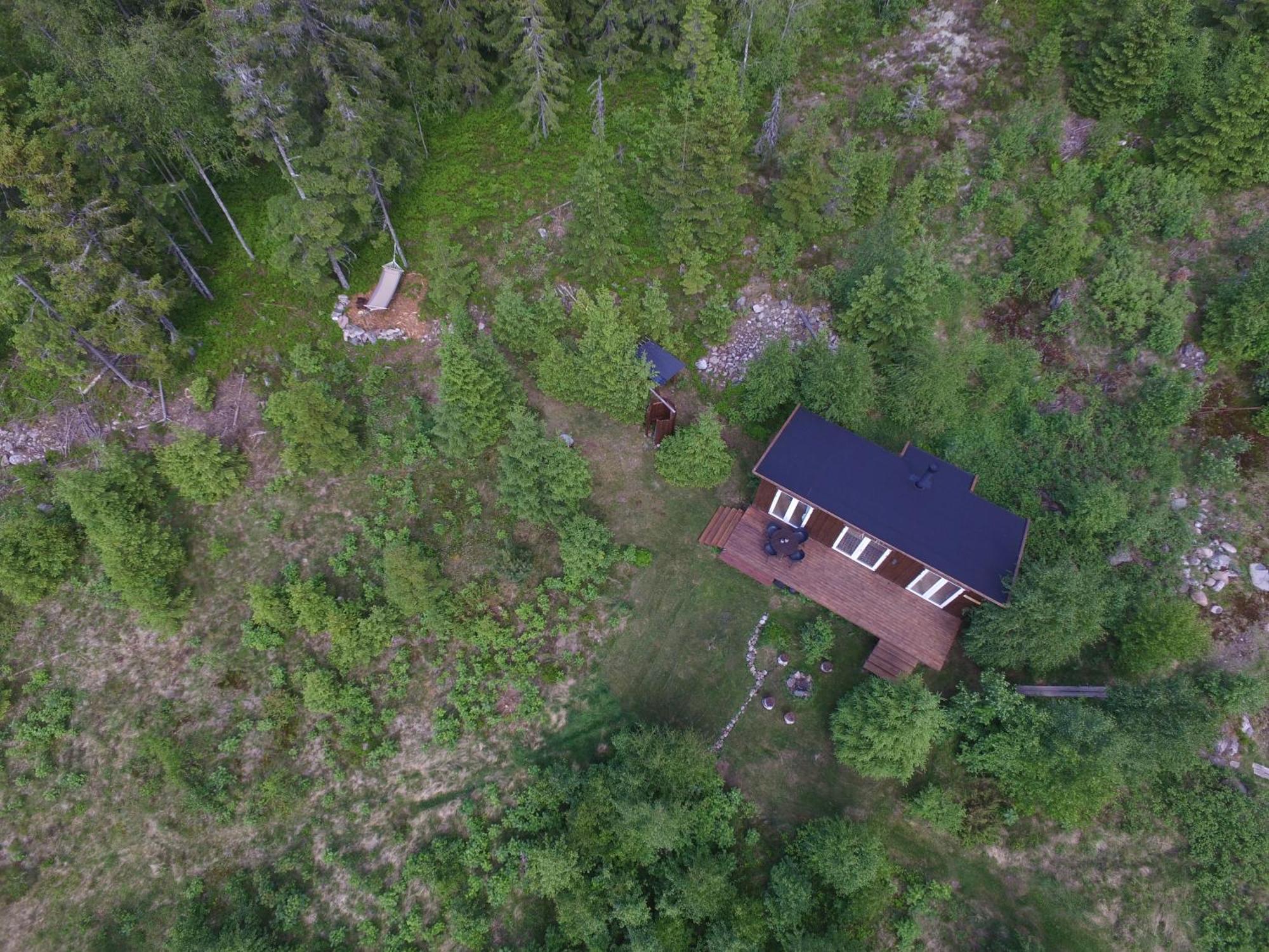 Cozy Forest Cabin With Amazing Mountain View Torsby Ngoại thất bức ảnh
