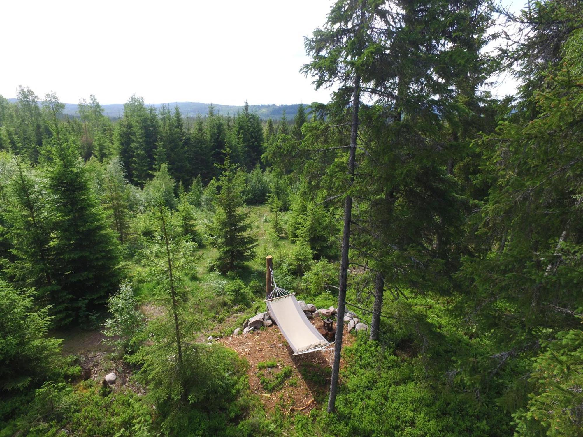 Cozy Forest Cabin With Amazing Mountain View Torsby Ngoại thất bức ảnh